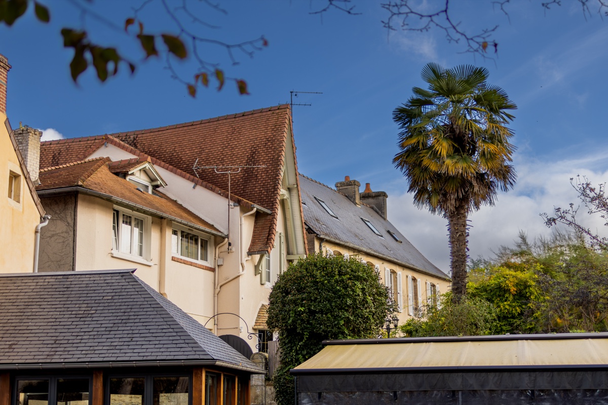 Bayeux Old Town Houses Palm Tree