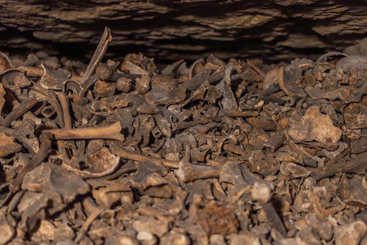 Catacombs Paris Scattered Bones Floor