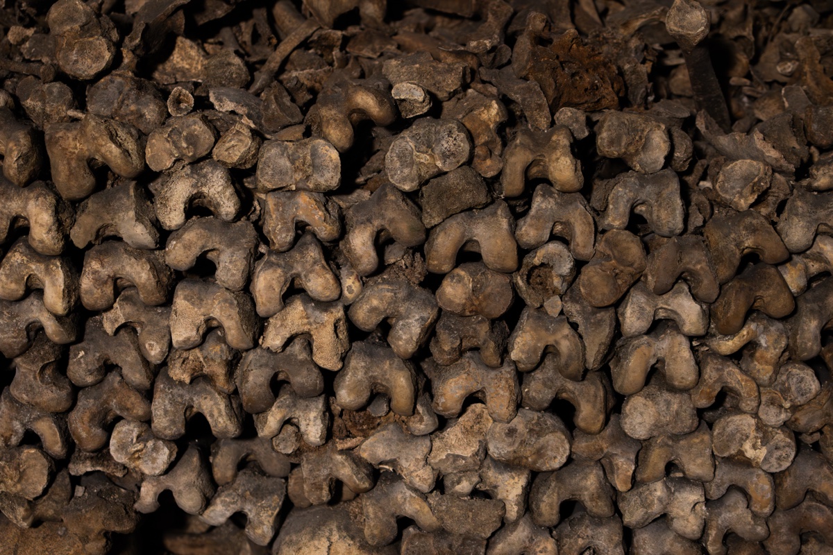 Catacombs Paris Stacked Bone Wall