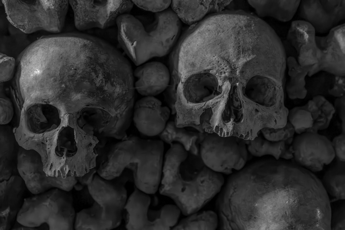 Catacombs Paris Two Skulls Black And White